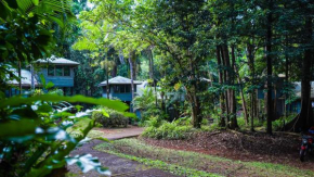 Ferntree Rainforest Hotel